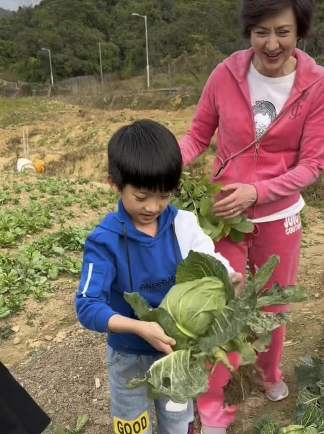 华体会hth体育洪金宝71岁大寿摘草莓！小14岁妻子贴心陪伴混血颜值同框像父女(图3)